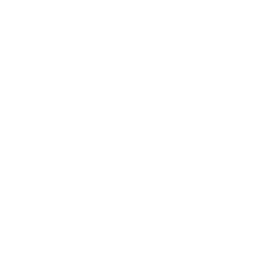 F-15C icon