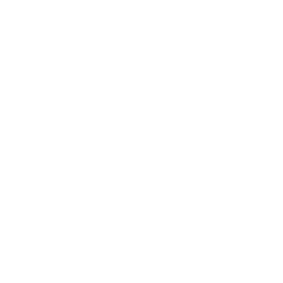 F-5E icon